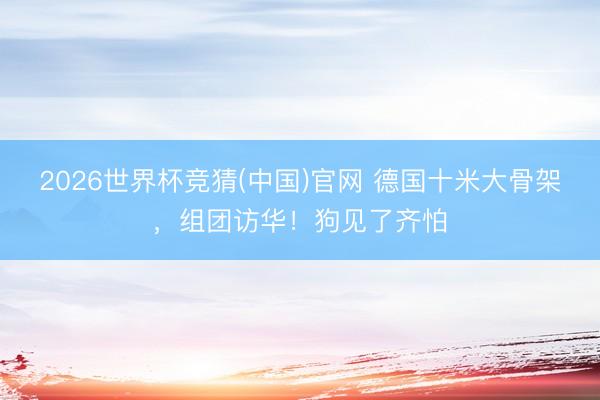 2026世界杯竞猜(中国)官网 德国十米大骨架，组团访华！狗见了齐怕
