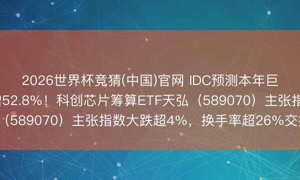 2026世界杯竞猜(中国)官网 IDC预测本年巨匠半导体收入同比大增52.8%！科创芯片筹算ETF天弘（589070）主张指数大跌超4%，换手率超26%交投活跃