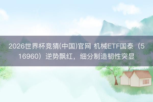 2026世界杯竞猜(中国)官网 机械ETF国泰（516960）逆势飘红，细分制造韧性突显