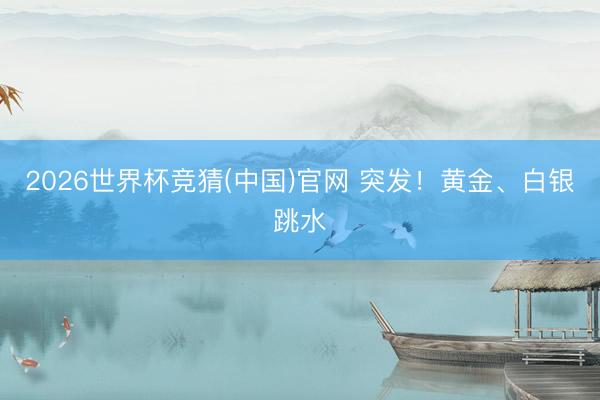 2026世界杯竞猜(中国)官网 突发！黄金、白银跳水