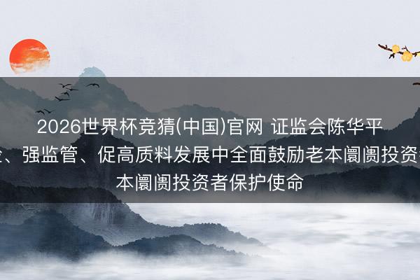 2026世界杯竞猜(中国)官网 证监会陈华平：在防风险、强监管、促高质料发展中全面鼓励老本阛阓投资者保护使命