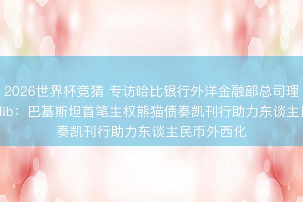 2026世界杯竞猜 专访哈比银行外洋金融部总司理Farhan Talib：巴基斯坦首笔主权熊猫债奏凯刊行助力东谈主民币外西化