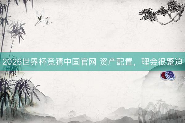 2026世界杯竞猜中国官网 资产配置,理会很蹙迫