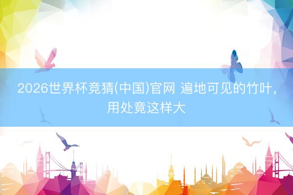 2026世界杯竞猜(中国)官网 遍地可见的竹叶，用处竟这样大