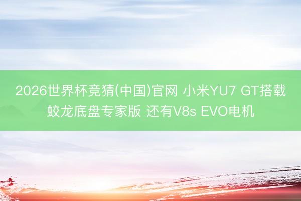 2026世界杯竞猜(中国)官网 小米YU7 GT搭载蛟龙底盘专家版 还有V8s EVO电机