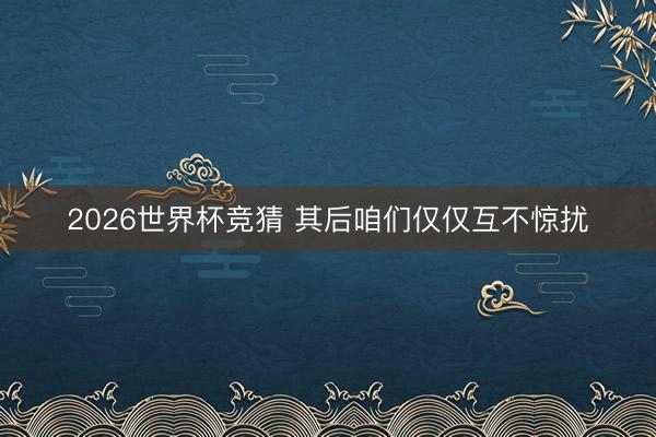 2026世界杯竞猜 其后咱们仅仅互不惊扰