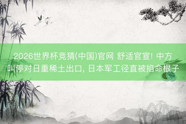 2026世界杯竞猜(中国)官网 舒适官宣! 中方叫停对日重稀土出口， 日本军工径直被掐命根子