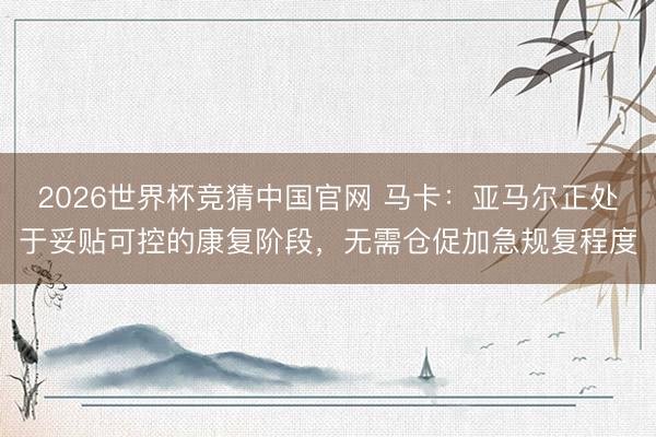 2026世界杯竞猜中国官网 马卡：亚马尔正处于妥贴可控的康复阶段，无需仓促加急规复程度