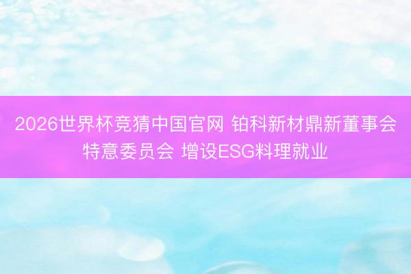 2026世界杯竞猜中国官网 铂科新材鼎新董事会特意委员会 增设ESG料理就业