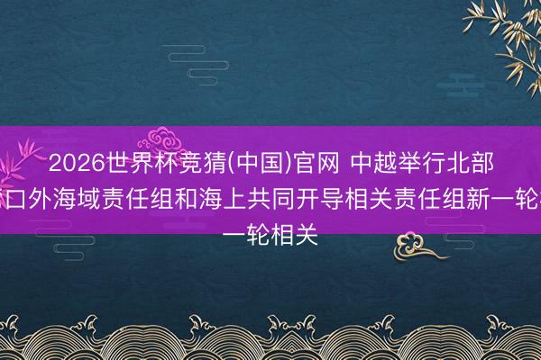 2026世界杯竞猜(中国)官网 中越举行北部湾湾口外海域责任组和海上共同开导相关责任组新一轮相关