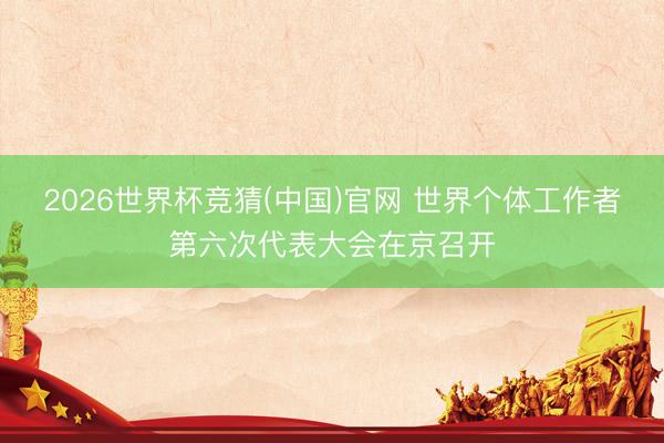 2026世界杯竞猜(中国)官网 世界个体工作者第六次代表大会在京召开