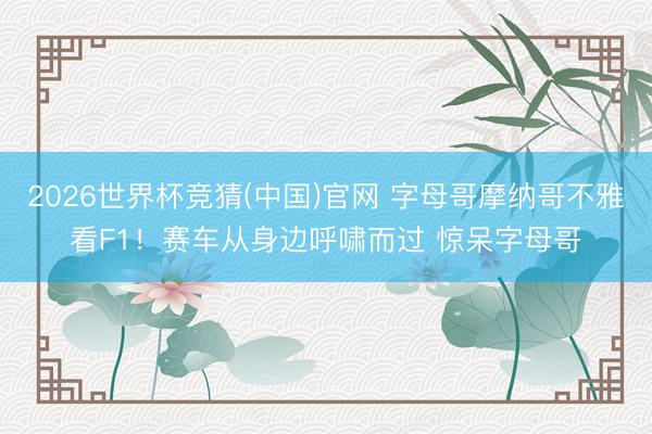 2026世界杯竞猜(中国)官网 字母哥摩纳哥不雅看F1！赛车从身边呼啸而过 惊呆字母哥