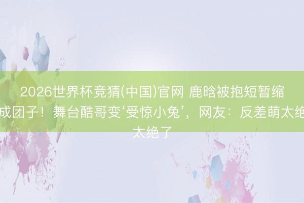 2026世界杯竞猜(中国)官网 鹿晗被抱短暂缩肩成团子！舞台酷哥变‘受惊小兔’，网友：反差萌太绝了