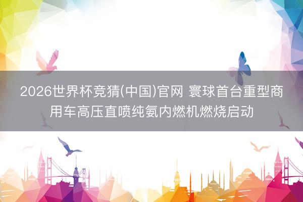 2026世界杯竞猜(中国)官网 寰球首台重型商用车高压直喷纯氨内燃机燃烧启动