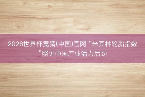2026世界杯竞猜(中国)官网 “米其林轮胎指数”照见中国产业活力后劲