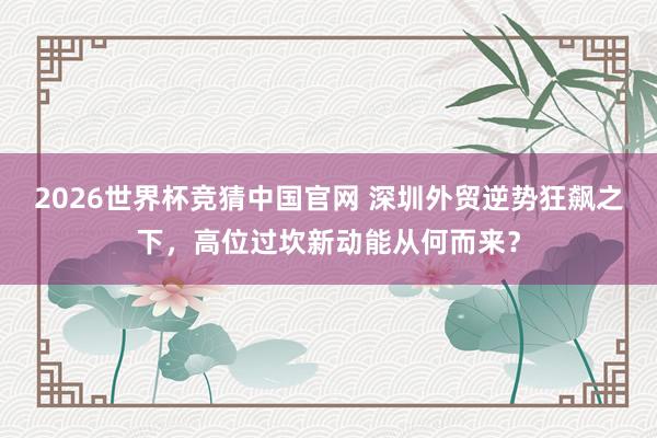 2026世界杯竞猜中国官网 深圳外贸逆势狂飙之下,高位过坎新动能从何而来?